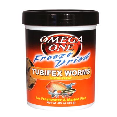 download live tubifex worms for fish