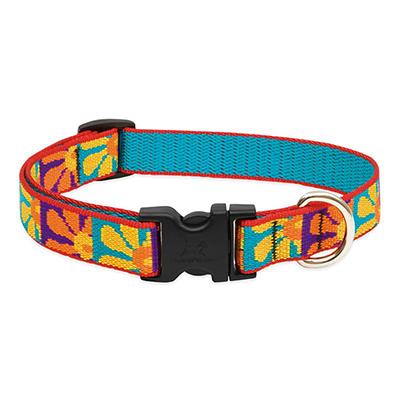 Dog Collar Adjustable Nylon Crazy Daisy Lupine 15-25 - Dog ...