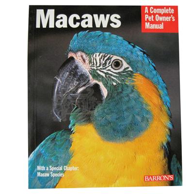 macaw anatomy