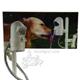 WaterDog&reg; Automatic Outdoor Pet Drinking Fountain