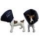 Comfy Cone Medium 20 cm