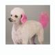 Top Performance Pet Hair Dye Gel Screaming Pink