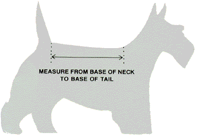 Dog Measurement Cutout