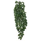 Komodo Two-Toned Leaf Hanging Plant LG 26in