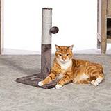 Cat Scratcher Play and Scratch with Toy 21in
