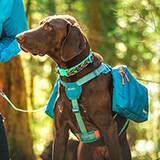 Canine Equipment Ultimate Trail Pack for Dogs Teal XL