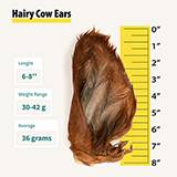 Beef Ear Furry Natural Dog Treats