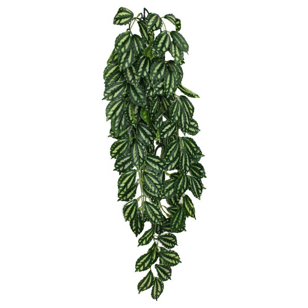 Komodo Two-Toned Leaf Hanging Plant LG 26in