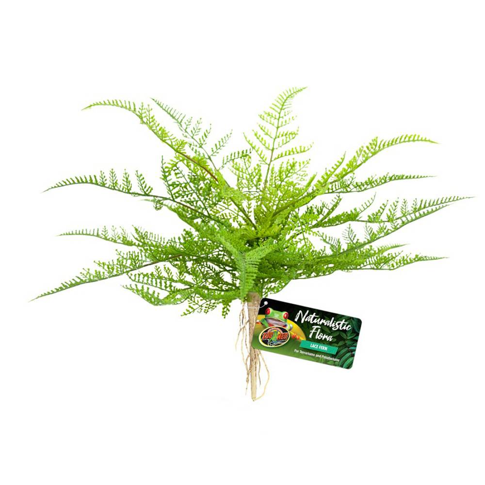 ZooMed Lace Fern Decorative Terrarium Plant