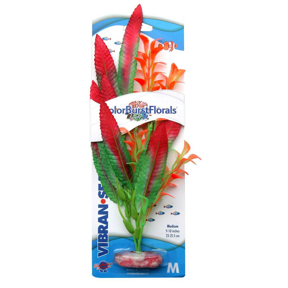 Colorburst Crispus Sword Medium Silk Aquarium Plant