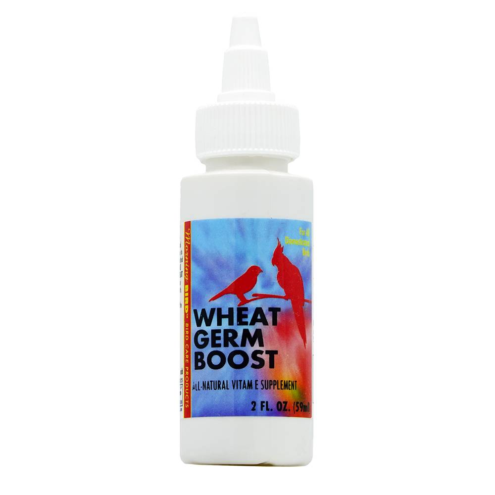 Morning Bird Wheat Germ Boost Vitamin E Oil for Birds 2oz