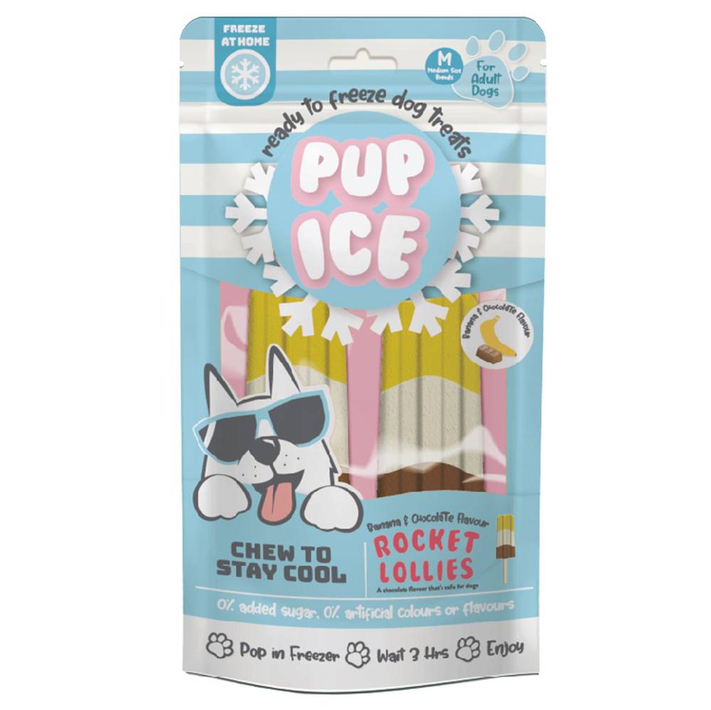 Pup Ice Banana Chocolate Frozen Dog Treat 2pk