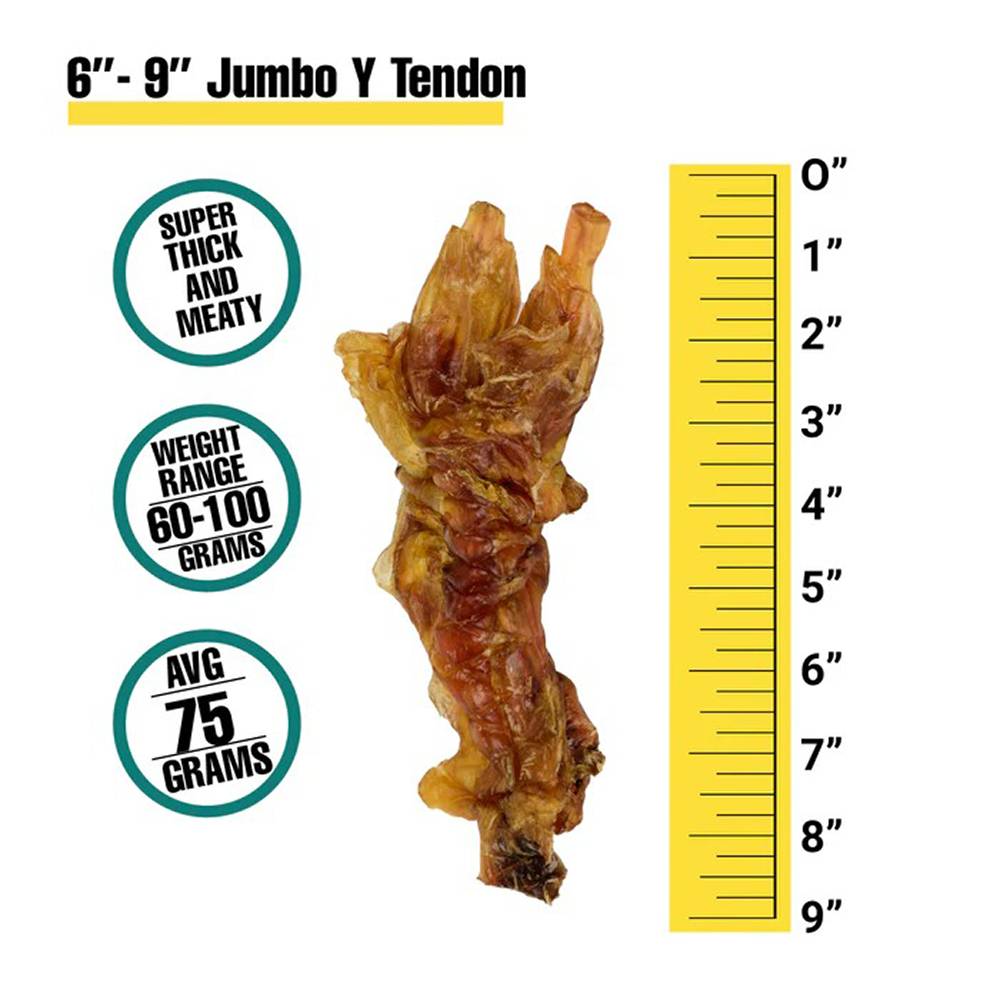 Beef Jumbo Y Tendon Dog Treat