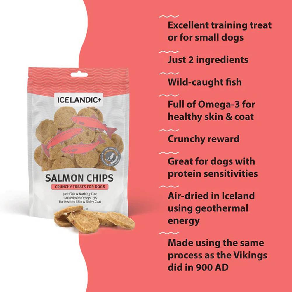 Icelandic Salmon Chips 2.5oz