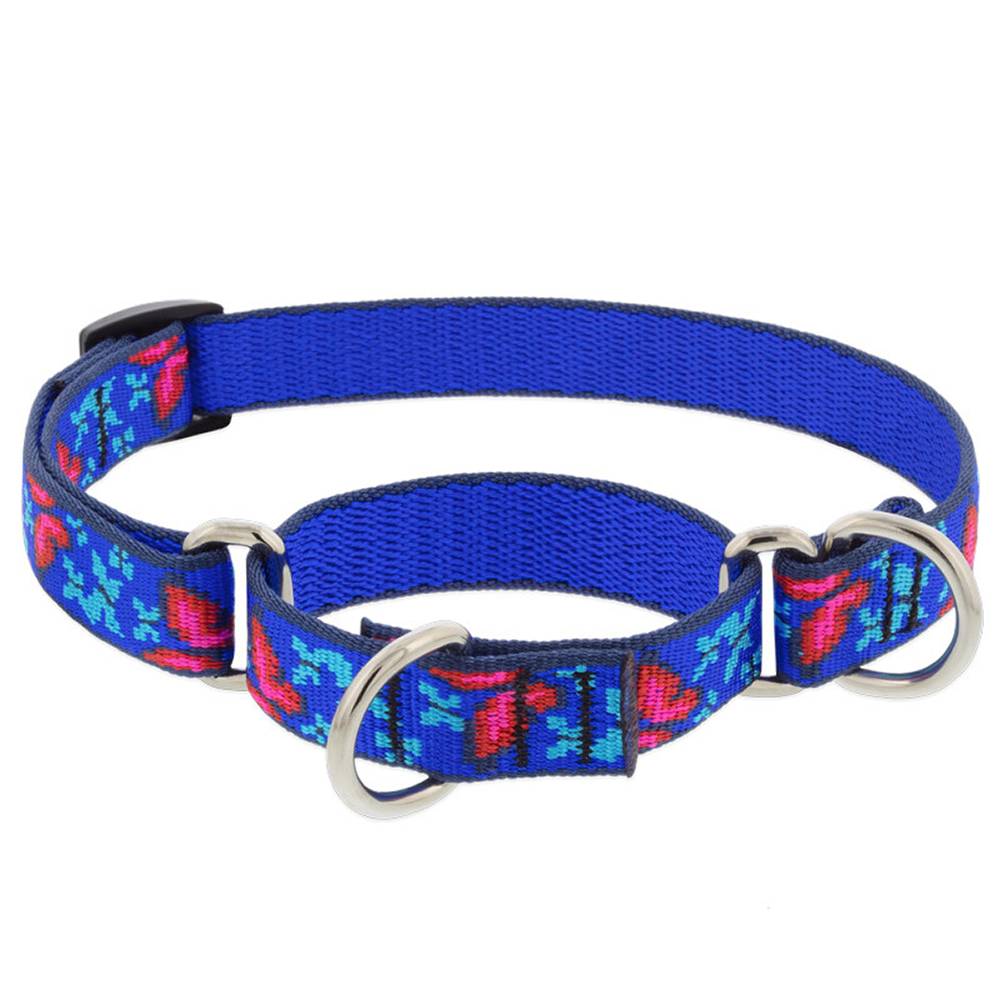 Lupine Martingale Dog Collar Social Butterfly 14-20 inches